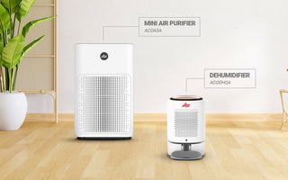 Air Purifier VS Dehumidifier: Which One Is Better?