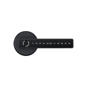 LYNX SMART DOOR LOCK